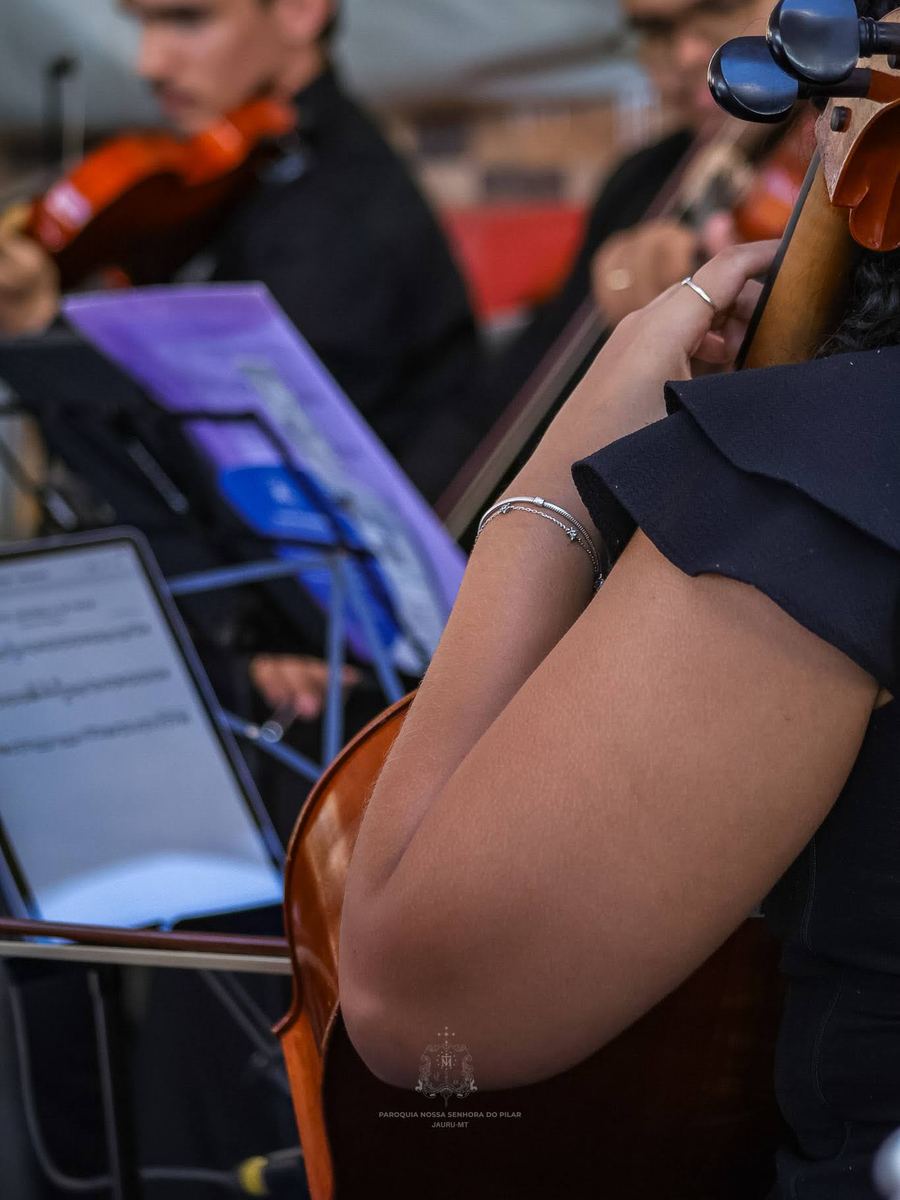 Violinos e violoncelo durante a Missa de Beatificação